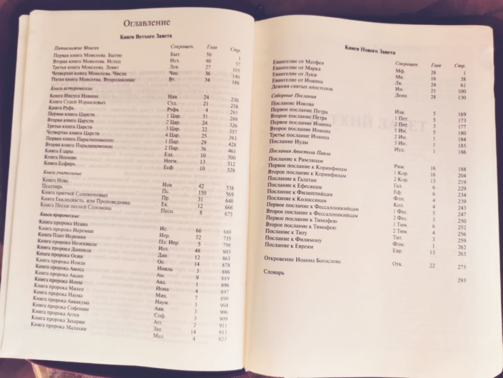 Kak-chitat-Bibliyu-oglavlenie-705x529